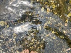 -崇州九龙峡漂流
