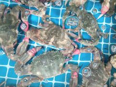 -宾朋海鲜特色美食餐厅·纯手工鲅鱼水饺(兴海路店)