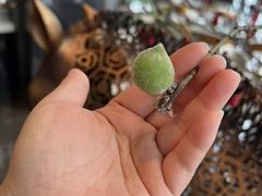 -大连君悦酒店·星海湾壹号Dalian·Dalian(星海广场店)