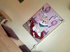 -喜柴咖啡·柴犬狗咖