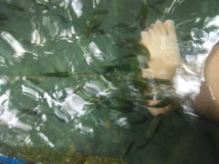 -三亚珠江南田温泉度假区