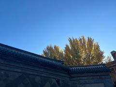 -张学良旧居陈列馆