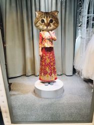 -韩国天使嫁衣婚纱礼服馆(上海旗舰店)