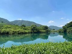 -龙坞茶村