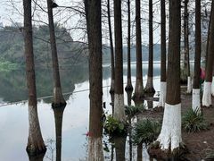 -重庆彩云湖湿地公园