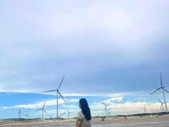 -长江澳风力发电景观区