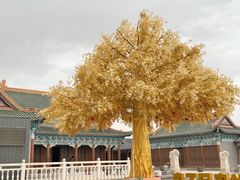 -哈密回王府景区