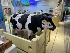 -红星前进面包牛奶公司(君太店)