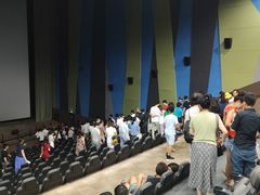 -天幕新彩云国际影城(激光巨幕店)