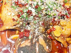 -青青河边草·小小河边鱼(万达广场太仓店)