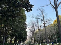 -苏州河梦清园环保主题公园