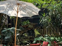 -Fern Forest Cafe