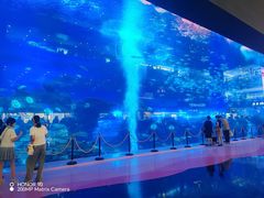 -成都浩海立方海洋公园