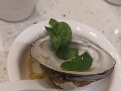 -青蓬蒸汽海鲜·深圳老字号·团建聚会(壹方城店)