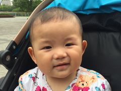 -洪湖家庭农场·团建·露营·会议