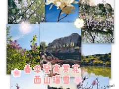 -北京西山国家森林公园