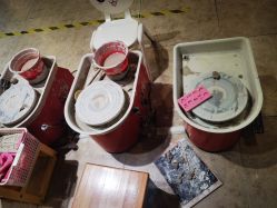 -卡通尼·Safari非洲探索乐园·生日会(金桥国际商业广场店)