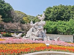 -金鸡山公园