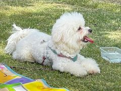 -贡湖湾湿地公园