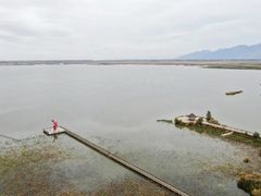 -哈素海