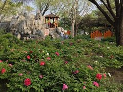 -太阳宫公园