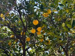 -狼山风景名胜区