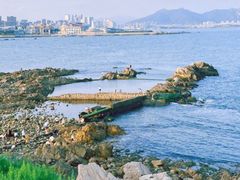 -小麦岛公园