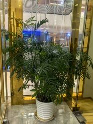 -CICI纤美·科技减肥美容