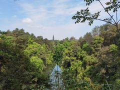 -保利石象湖景区
