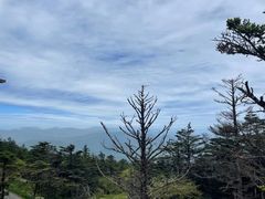 -峨眉山风景名胜区