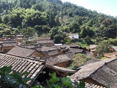 -杨家堂村