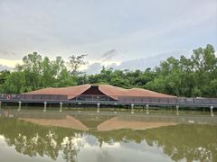 -东寨港红树林旅游区
