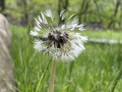 -大连天门山国家森林公园