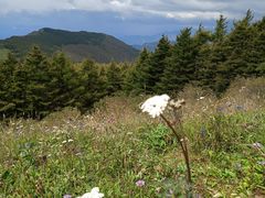 -白草畔自然风景区