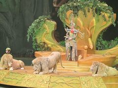 -广州长隆国际大马戏