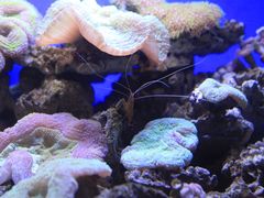 -江和美海洋公园