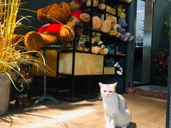 -咖法森林·咖啡  酒吧(天河店)