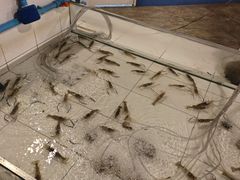 -芭提雅Amporn Seafood自助餐厅