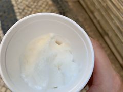 -洪馨椰子