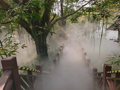 -厦门园林博览苑