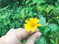 -燕晗山郊野公园