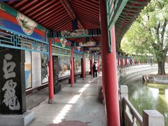 -东方巨龟苑景区