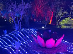 -茅山东方盐湖城景区