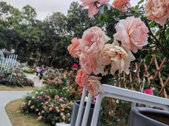 -人民公园(罗湖区)