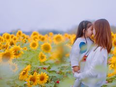 -映月湖中央公园