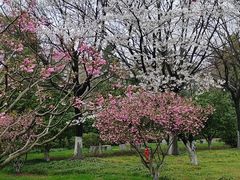 -明故宫遗址公园