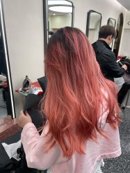 -IP SALON