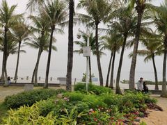 -深圳湾公园(南山区)