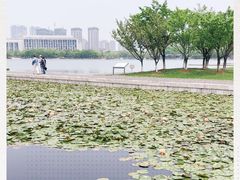 -尚贤河湿地