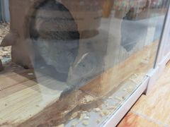 -狗道宠物(常熟印象城店)
